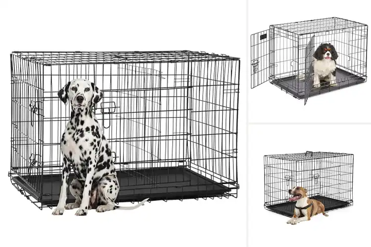 Detailed view of Best Metal Dog Cages