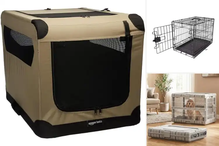 Detailed view of Best Mobile Dog Crates