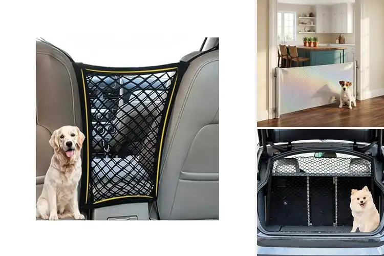 Detailed view of Best Pet Containment For Dogs With Hook