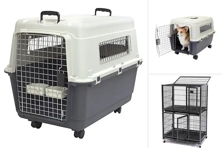 Detailed view of Best Pet Crates With Wheels