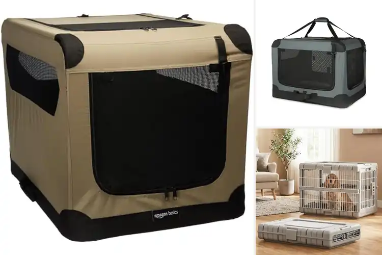 Detailed view of Best Portable Dog Crates: Travel Easy