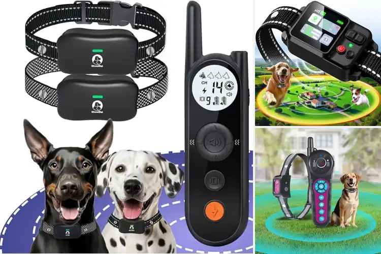 Detailed view of Best Rechargeable Pet Containment