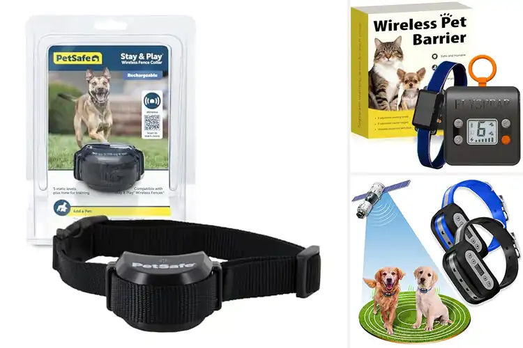Detailed view of Best Rechargeable Pet Safety Systems