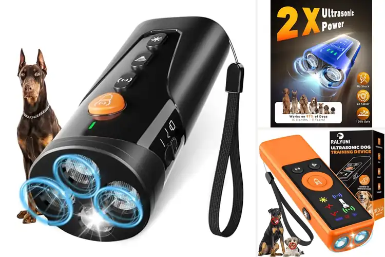 Detailed view of Best Rechargeable Pet Training Devices