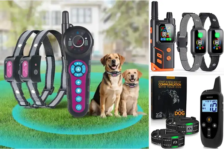 Detailed view of Best Rechargeable Pet Training Systems