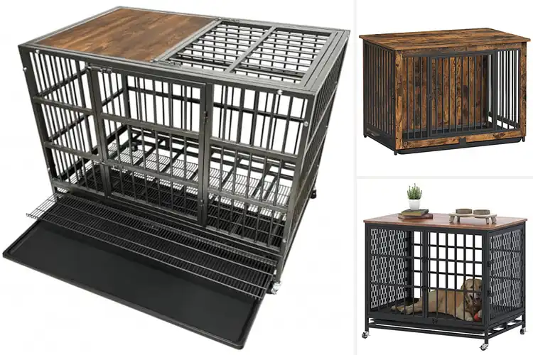 Detailed view of Best Removable Tray Dog Crates: Top 10 Easy-Clean Options