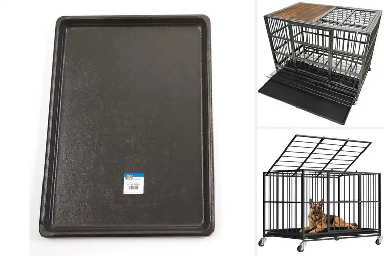 Detailed view of Best Removable Tray Dog Kennels: Easy Clean, Happy Pup