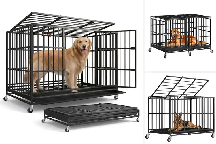 Detailed view of Best Rolling Dog Cages With Locking Wheels