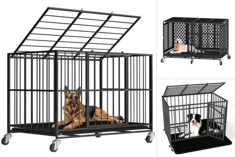 Detailed view of Best Rolling Dog Crates: Top Picks for Safety & Comfort