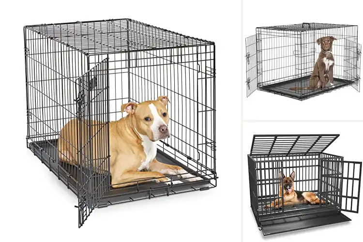 Detailed view of Best Safe Dog Crates: Top 10 Picks for Pet Safety & Comfort