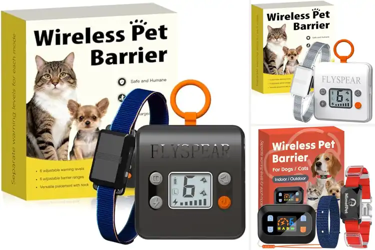 Detailed view of Best Safe Static Intensity For Pet Safety