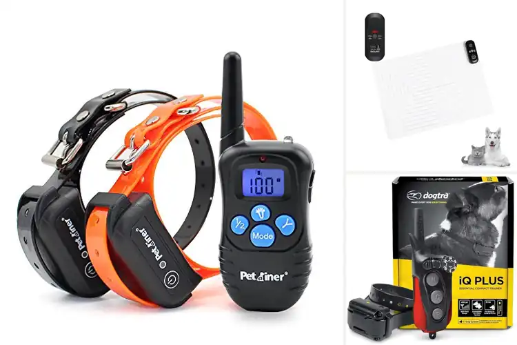 Detailed view of Best Safe Static Intensity Trainers