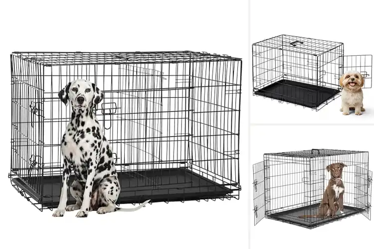 Detailed view of Best Spacious Dog Kennels: Top Picks for Comfort & Style