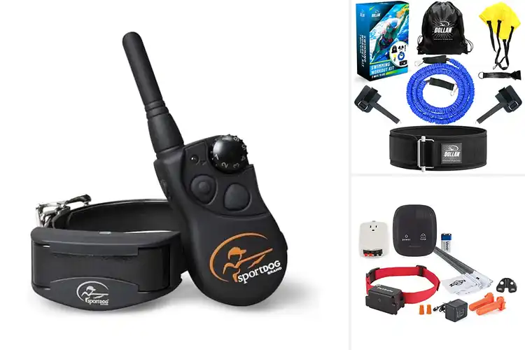 Detailed view of Best Static Intensity Trainers: Smoother, Effective Workouts