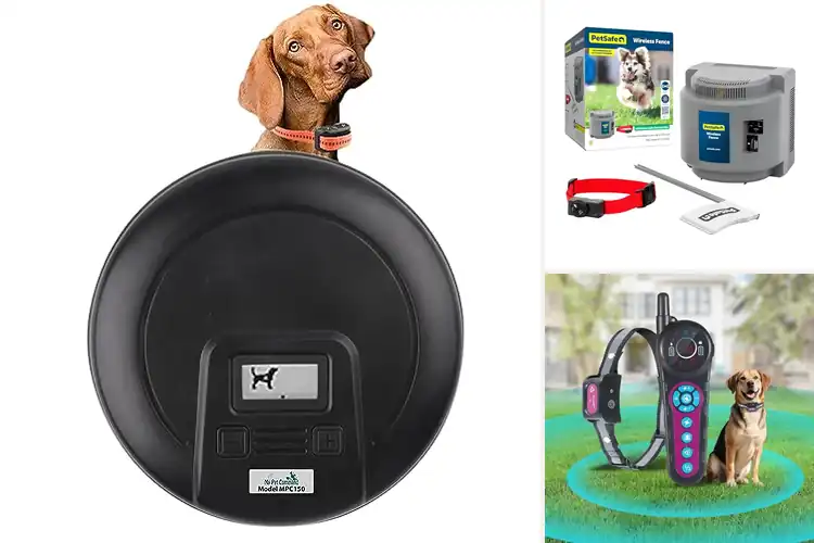 Detailed view of Best Static Pet Training Systems