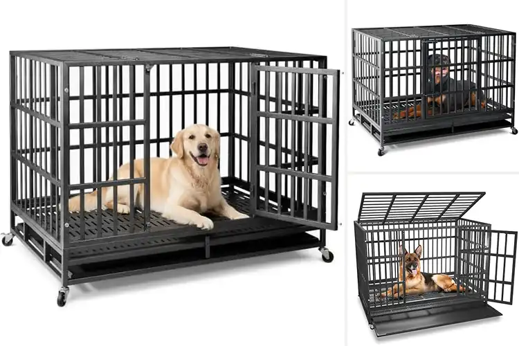 Detailed view of Best Steel Dog Crates