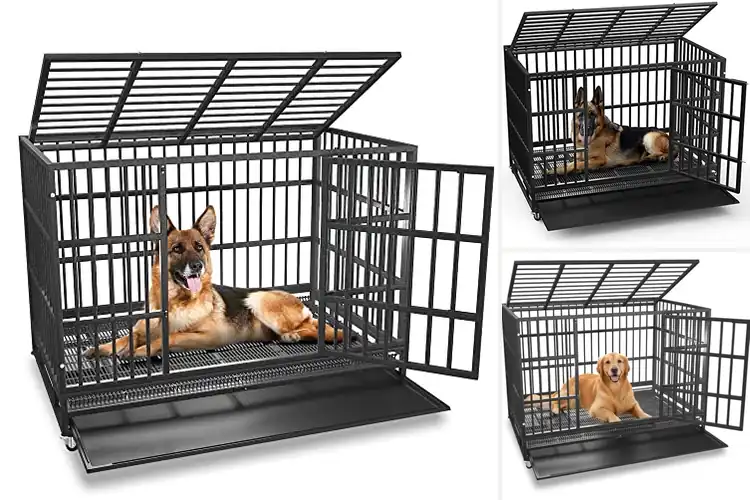 Detailed view of Best Strong Dog Crates