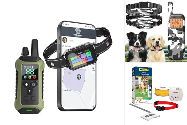 Detailed view of Best Training Boundary For Dogs