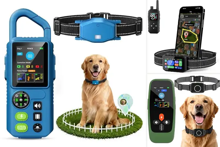 Detailed view of Best Training Fencing For Dogs