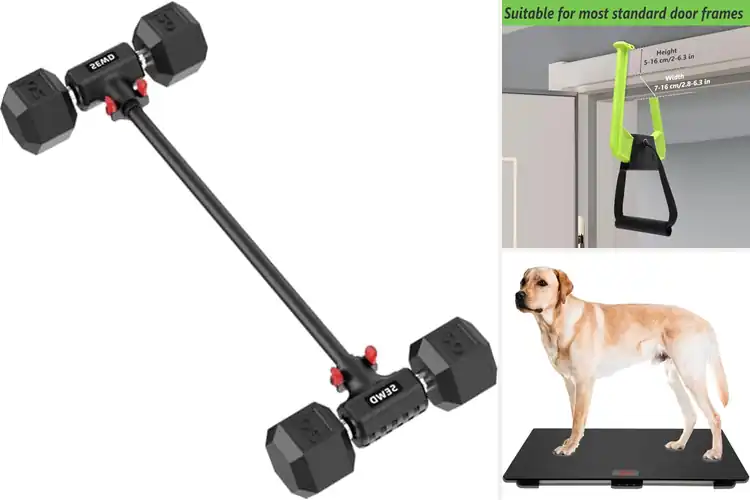 Detailed view of Best Weight Capacity Up To 220 Pounds