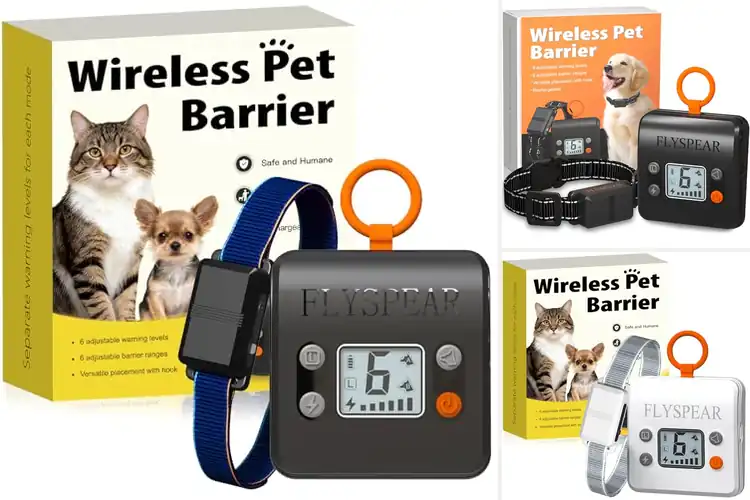 Detailed view of Best Wireless Barriers