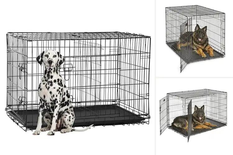 Detailed view of Best XL Dog Crates: Top 10 Picks for Comfort & Safety