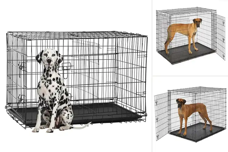 Detailed view of Best XXL Dog Crates